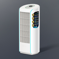 lonic-Wind Air Purifier TY-100